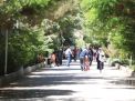 گزارش تصویری اردوی کارکنان دانشگاه 